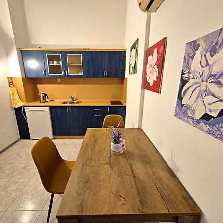 Hl Sunny View Apartment *
